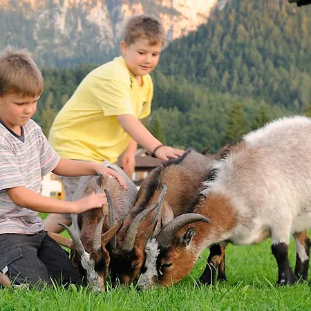 Farm stay Odmuhle - Chiemgau Karte